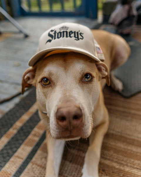 Stoney's Casual Cotton Hat
